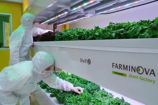 Farminova | Cantek Group - Resim 5