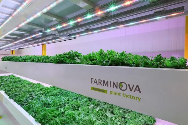 Farminova | Cantek Group - Resim 7