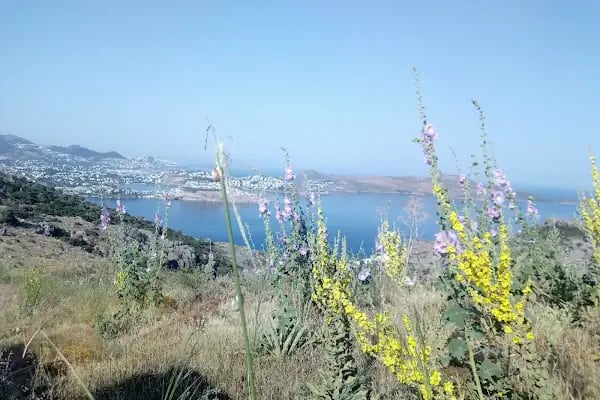 Myndos Evleri, Yalıkavak - Resim 11