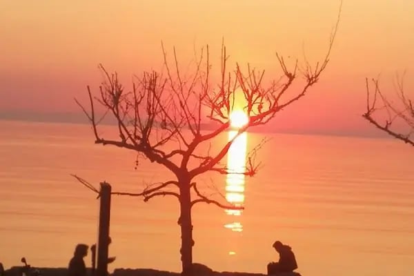 Gemlik Daniş Ekim Öğretmenevi ve Akşam Sanat Okulu - Resim 5