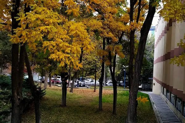 Gazi Üniversitesi Teknoloji Fakültesi - Resim 8