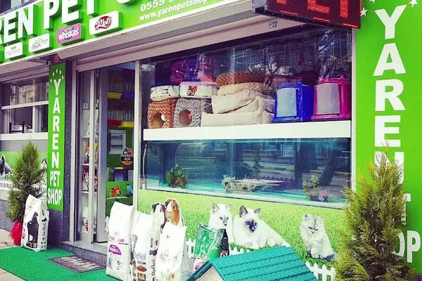 Yaren Pet Shop Alo Mama Hattı - Resim 4