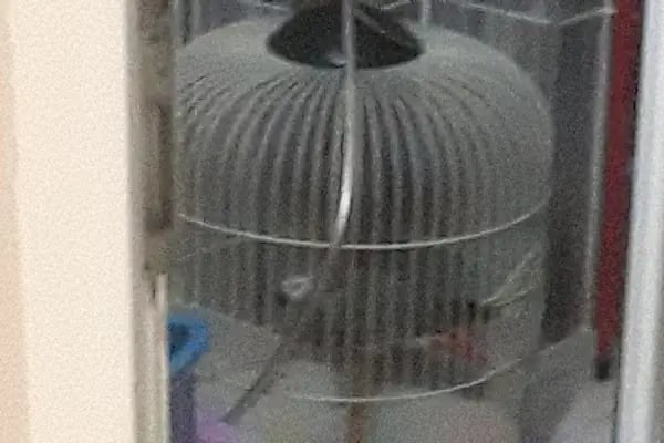 Yaren Pet Shop Alo Mama Hattı - Resim 5