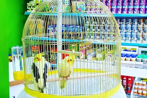 Yaren Pet Shop Alo Mama Hattı - Resim 2
