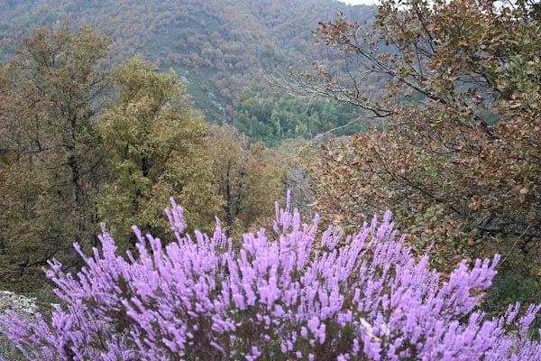 Cehennem Şelaleleri - Resim 19