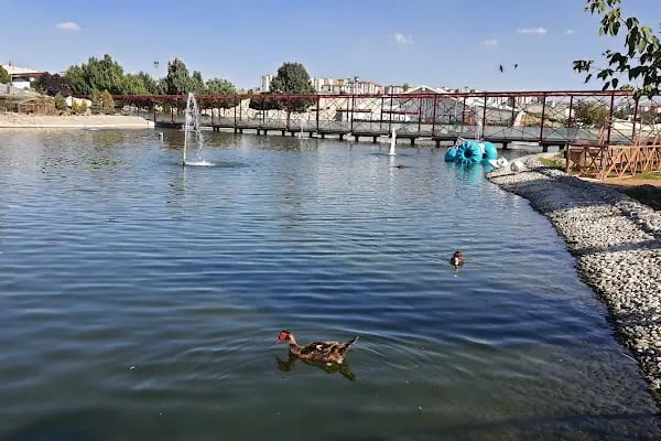 Kayseri Hayvanat Bahçesi - Resim 19