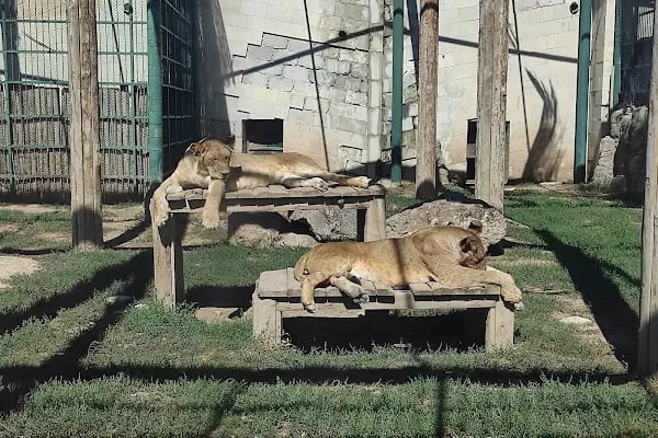 Kayseri Hayvanat Bahçesi - Resim 10