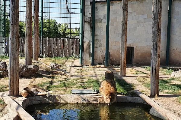 Kayseri Hayvanat Bahçesi - Resim 9