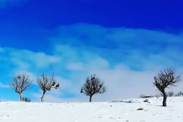 Ankara Kış Sporları Kulübü Ve Derneği - Resim 6