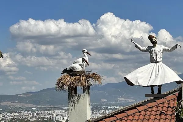 Yeşil Türbe - Resim 18