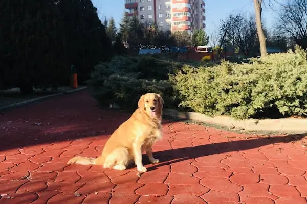 Arman Talay Parkı - Resim 12