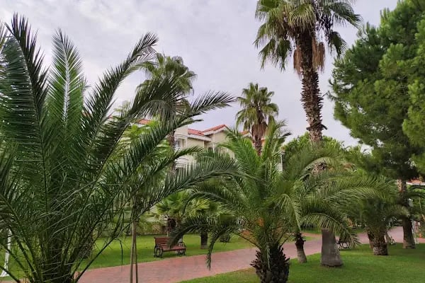 Aquapark Güral Premier - Resim 7