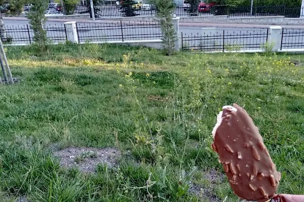 Altındağ belediyesi yüzme havuzu ve sosyal tesisleri - Resim 16
