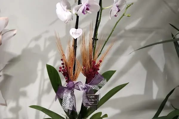 ARTAR FLOWER STORE - Resim 8