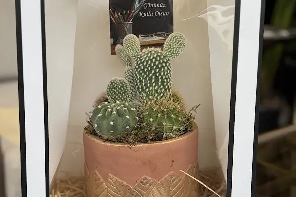 ARTAR FLOWER STORE - Resim 10