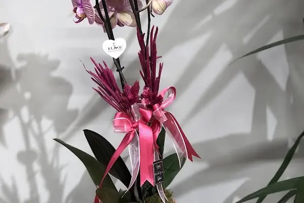 ARTAR FLOWER STORE - Resim 19