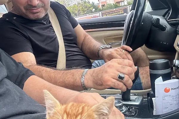 Oyunsan Şişme Ürün Fabrikası - Resim 17