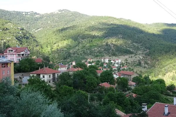 Bademli Gözbaşı Ulu Cami - Resim 12