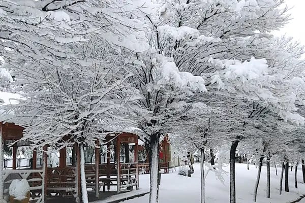 Selçuk Üniversitesi Beyşehir Ali Akkanat Meslek Yüksekokulu - Resim 15