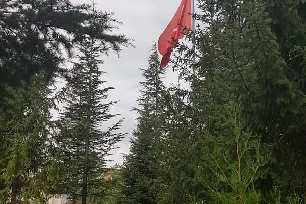 Selçuk Üniversitesi Beyşehir Ali Akkanat Meslek Yüksekokulu - Resim 11