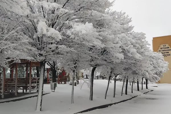 Selçuk Üniversitesi Beyşehir Ali Akkanat Meslek Yüksekokulu - Resim 12