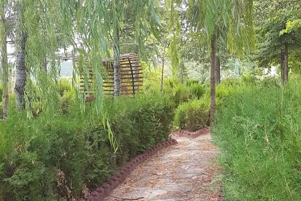 Selçuk Üniversitesi Beyşehir Ali Akkanat Meslek Yüksekokulu - Resim 10