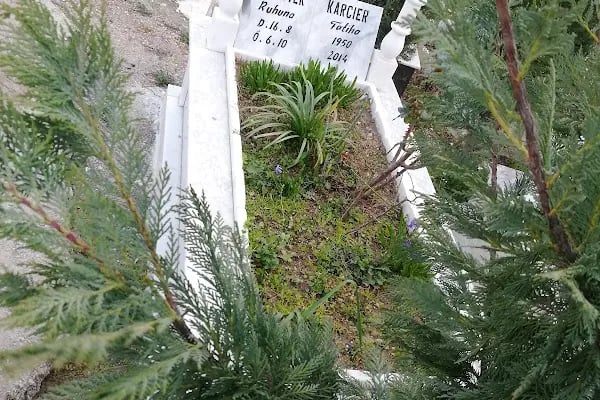 Kaynaklar Mezarlığı - Resim 14