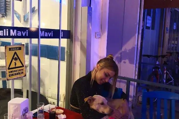 DELİ MAVİ RESTAURANT - Resim 16