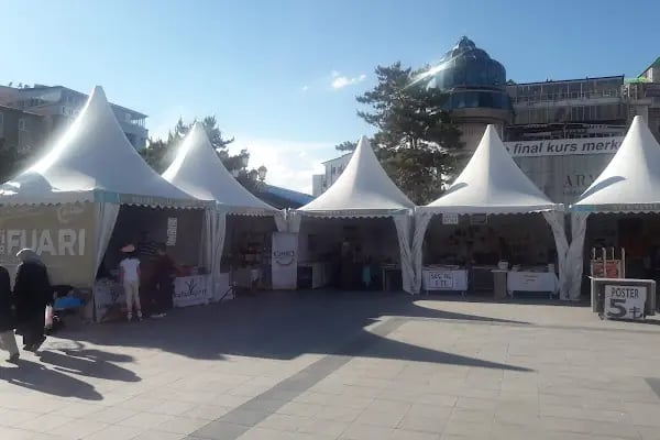 Ali Dilmen Cami - Resim 16