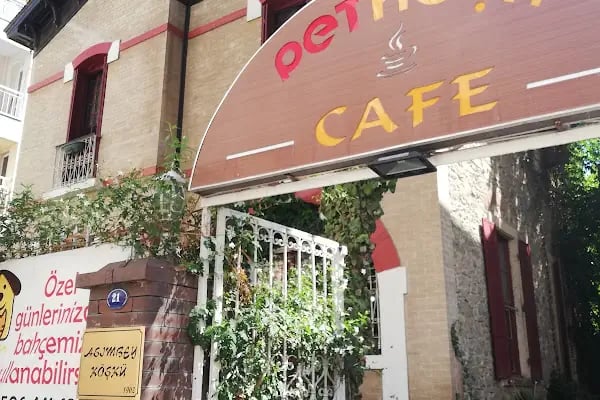 PetKöşk Veteriner Kliniği - Resim 10