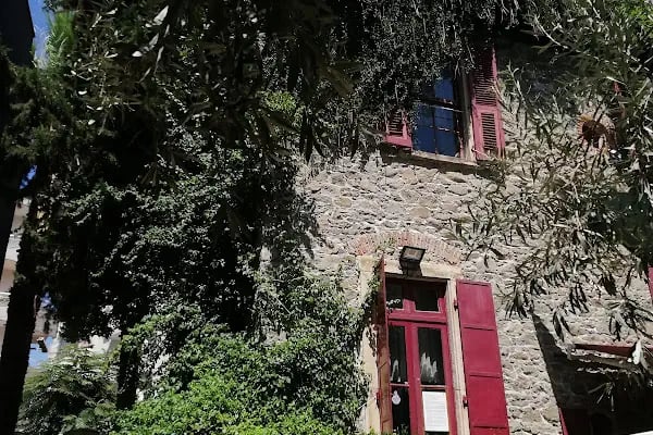 PetKöşk Veteriner Kliniği - Resim 20