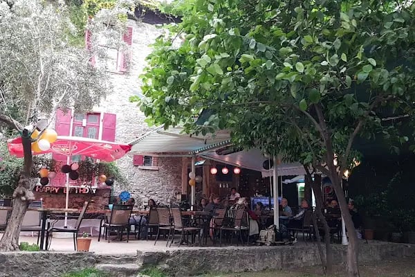 PetKöşk Veteriner Kliniği - Resim 16