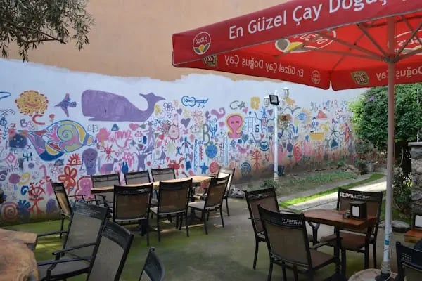 PetKöşk Veteriner Kliniği - Resim 6