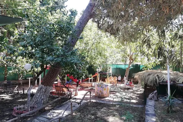 PetKöşk Veteriner Kliniği - Resim 13