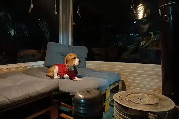 Bergama Doğa Veteriner Kliniği - Resim 4
