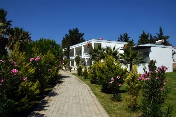 Avta Restaurant - Resim 10
