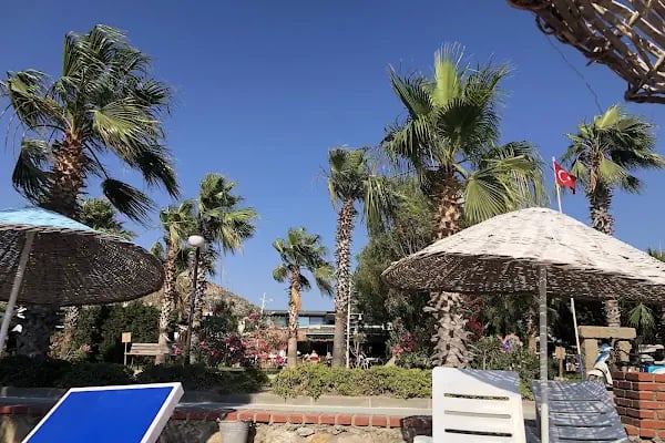 Avta Restaurant - Resim 5