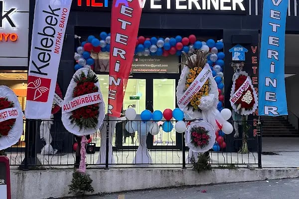 Hepa Veteriner Kliniği - Bahçekent - Bahçeşehir - Resim 9