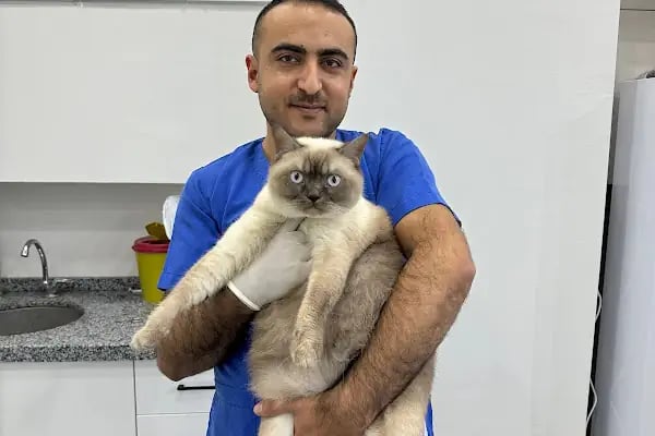 Hepa Veteriner Kliniği - Bahçekent - Bahçeşehir - Resim 12