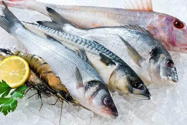 BAŞAR BALIKÇILIK / Balık Market / Pişirici / Meze - Resim 2