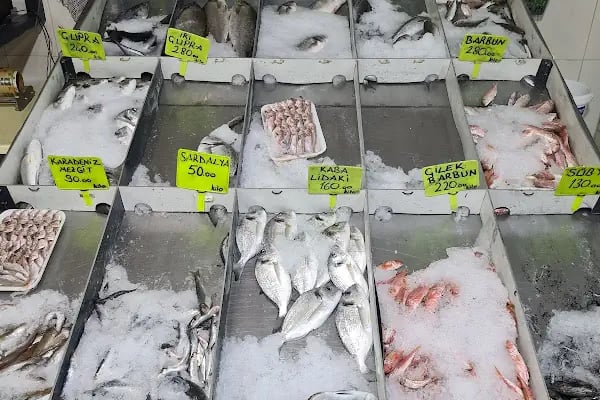 BAŞAR BALIKÇILIK / Balık Market / Pişirici / Meze - Resim 5