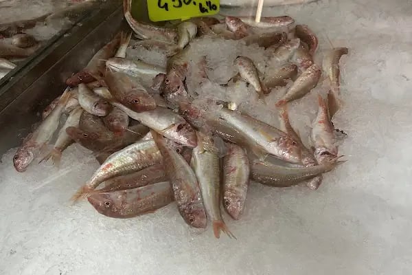 BAŞAR BALIKÇILIK / Balık Market / Pişirici / Meze - Resim 18