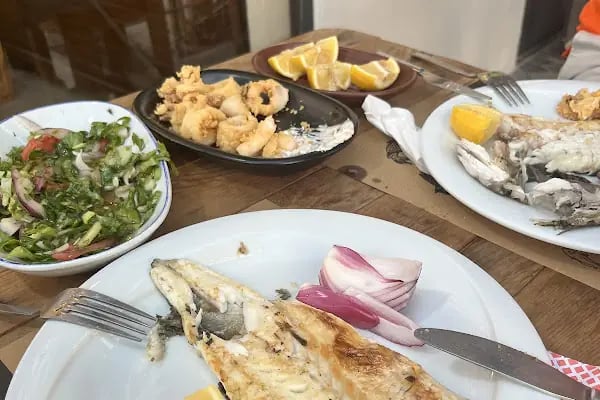 BAŞAR BALIKÇILIK / Balık Market / Pişirici / Meze - Resim 10