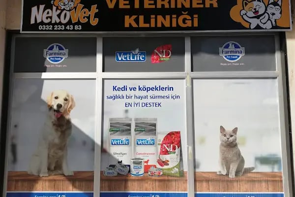 Nekovet Veteriner Kliniği - Resim 13