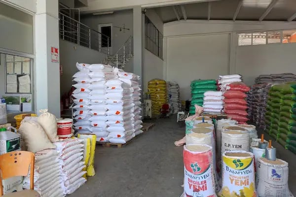 Korogulları Tarım ürünleri ve Süt Toplama merkezi - Resim 5