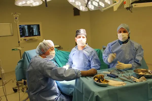 Prof. Dr. Tolga Tüzüner | Ortopedi ve Travmatoloji Uzmanı - Resim 2