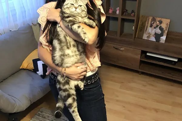 Zirve Veteriner Kliniği - Resim 13