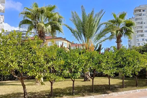 Alanya - Resim 8