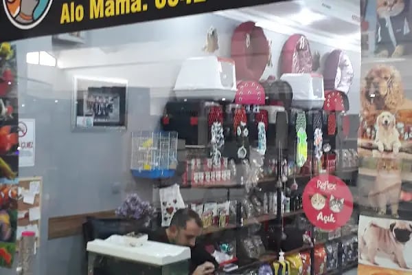 Atasoy petshop - Resim 7