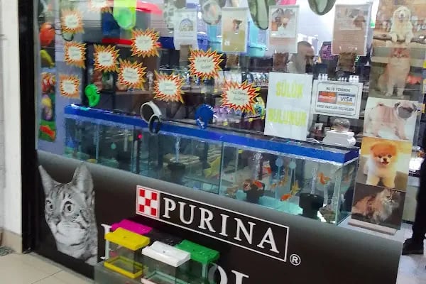 Atasoy petshop - Resim 2